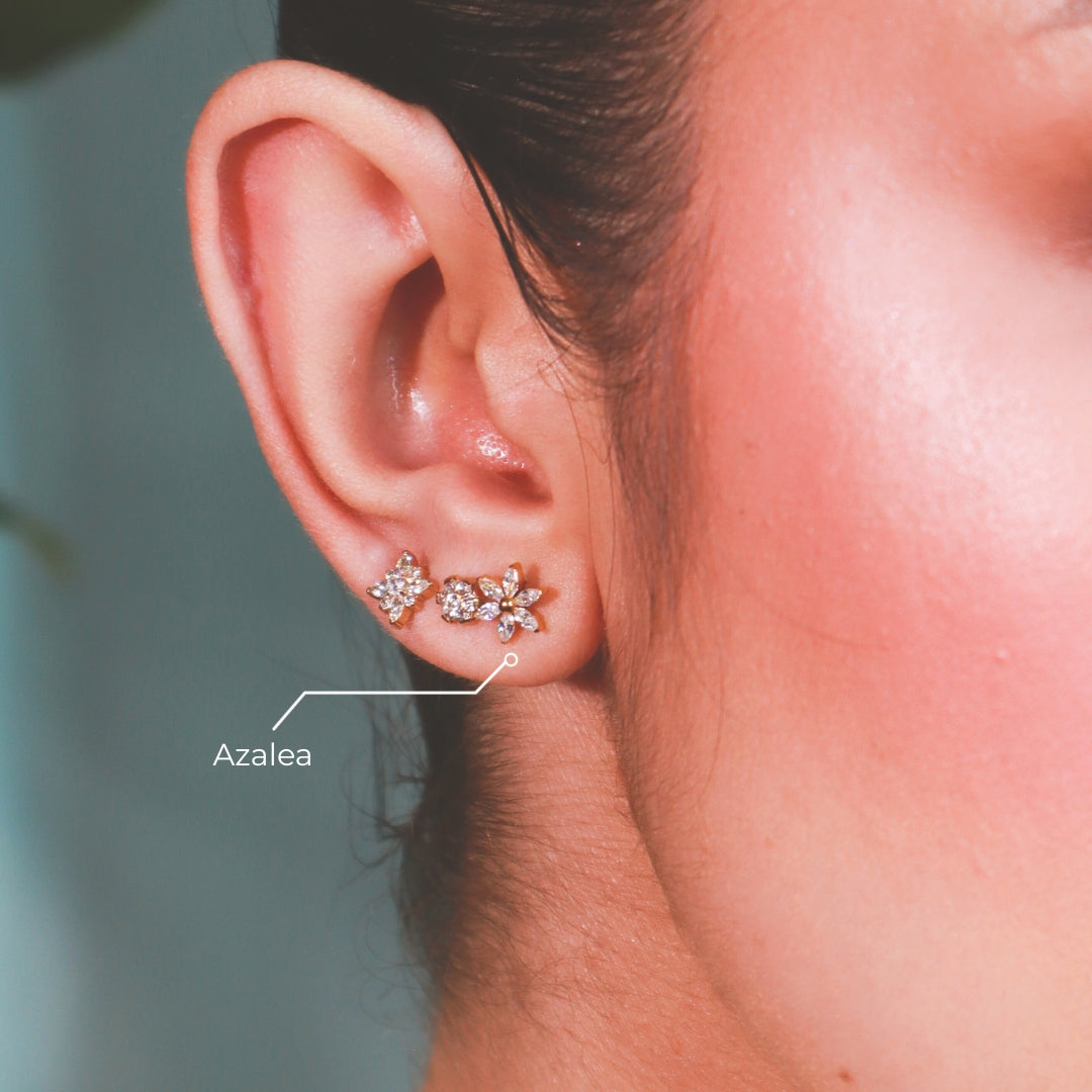 Labret Azalea Dorada en Titanio Grado Implante con Zirconias