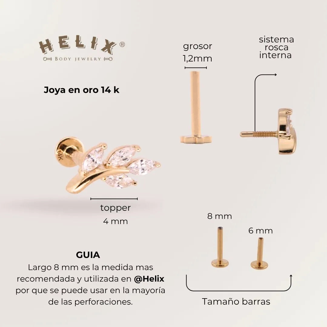 Labret Rama en Oro 14K